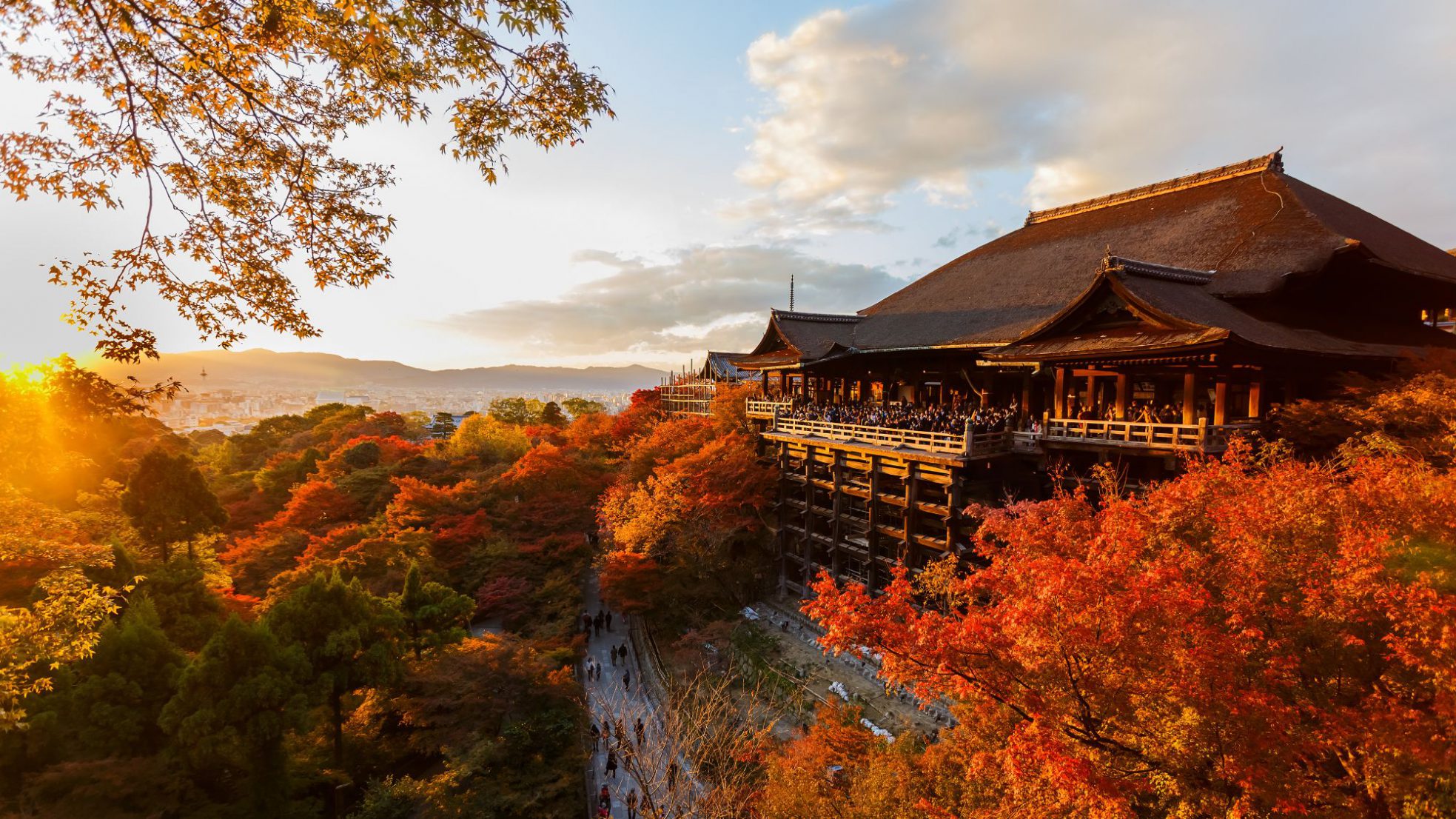 Fall Foliage in Kyoto, Japan MACHIYA Magazine A Blog by MACHIYA