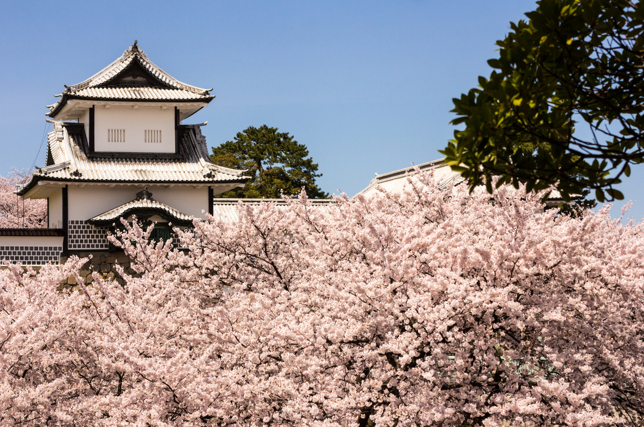 町家インズ ホテルズスタッフおすすめ21年桜スポット3選 金沢編 Machiya Magazine A Blog By Machiya Inns Hotels