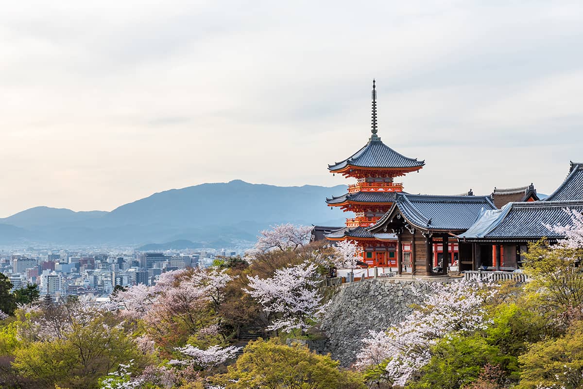 桜咲き誇る春の旅行におすすめの町家